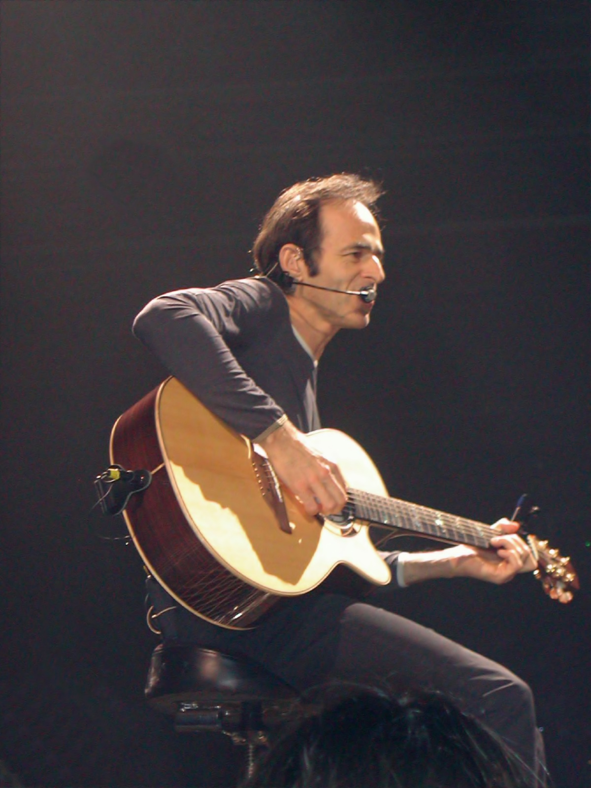 Sandrine Joly. Jean-Jacques Goldman au Zénith de Paris en 2002